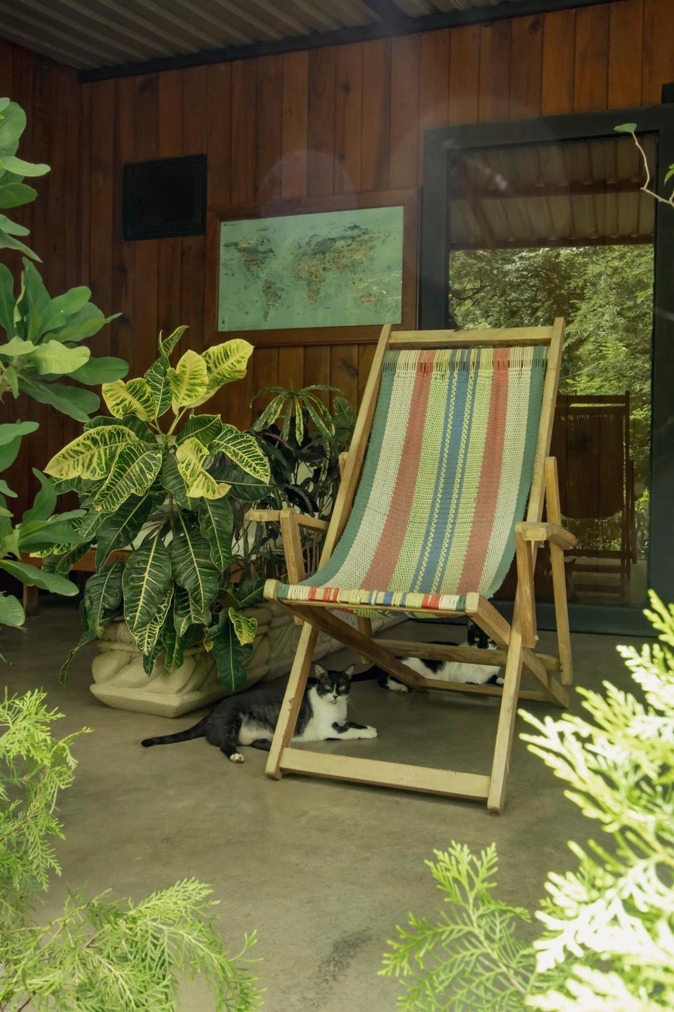 Mola Mola Surf Popoyo Bed & Breakfast Dış mekan fotoğraf