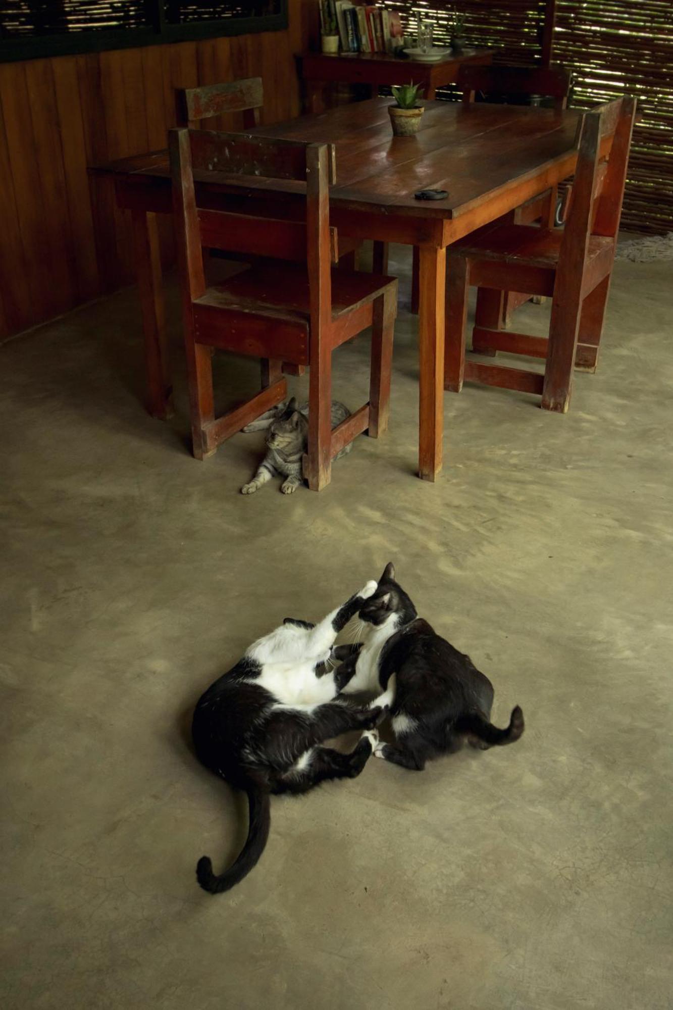 Mola Mola Surf Popoyo Bed & Breakfast Dış mekan fotoğraf
